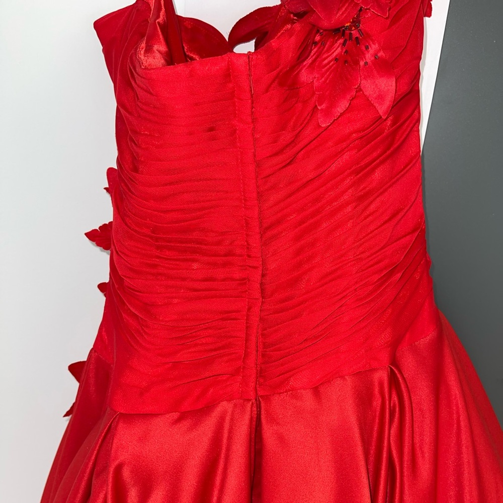 Red Corset Ballgown - Picture 14 of 17